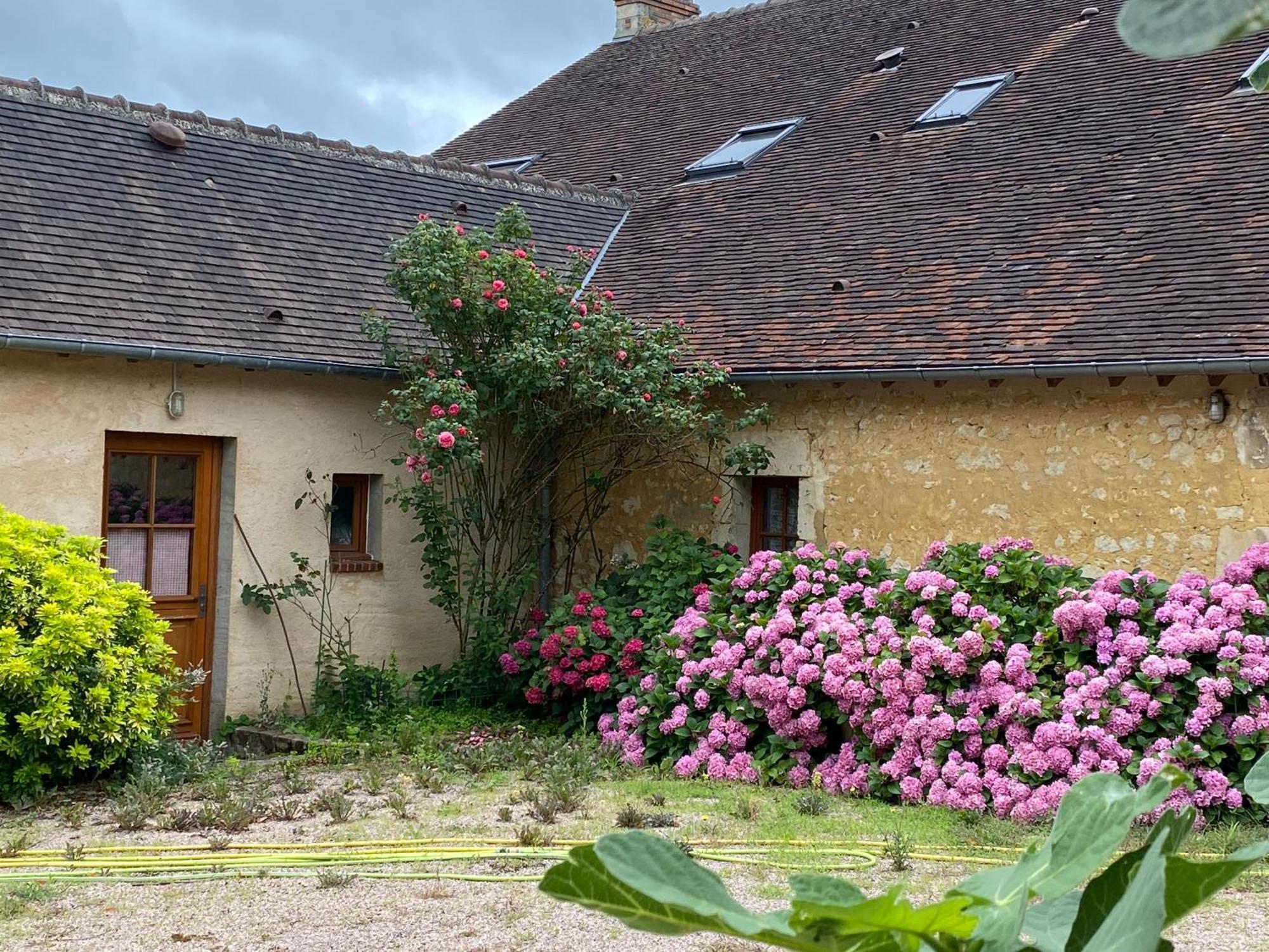 Chambre D'Hotes Du Domaine De La Haute Poignandiere Saint-Germain-de-la-Coudre Bagian luar foto